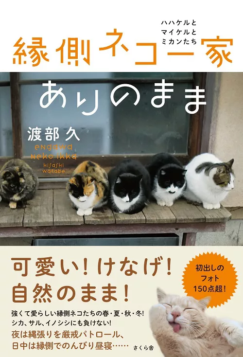 縁側ネコ　カバー表1帯付き書影